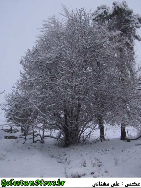 بارش برف-علی آباد کتول-گلستان